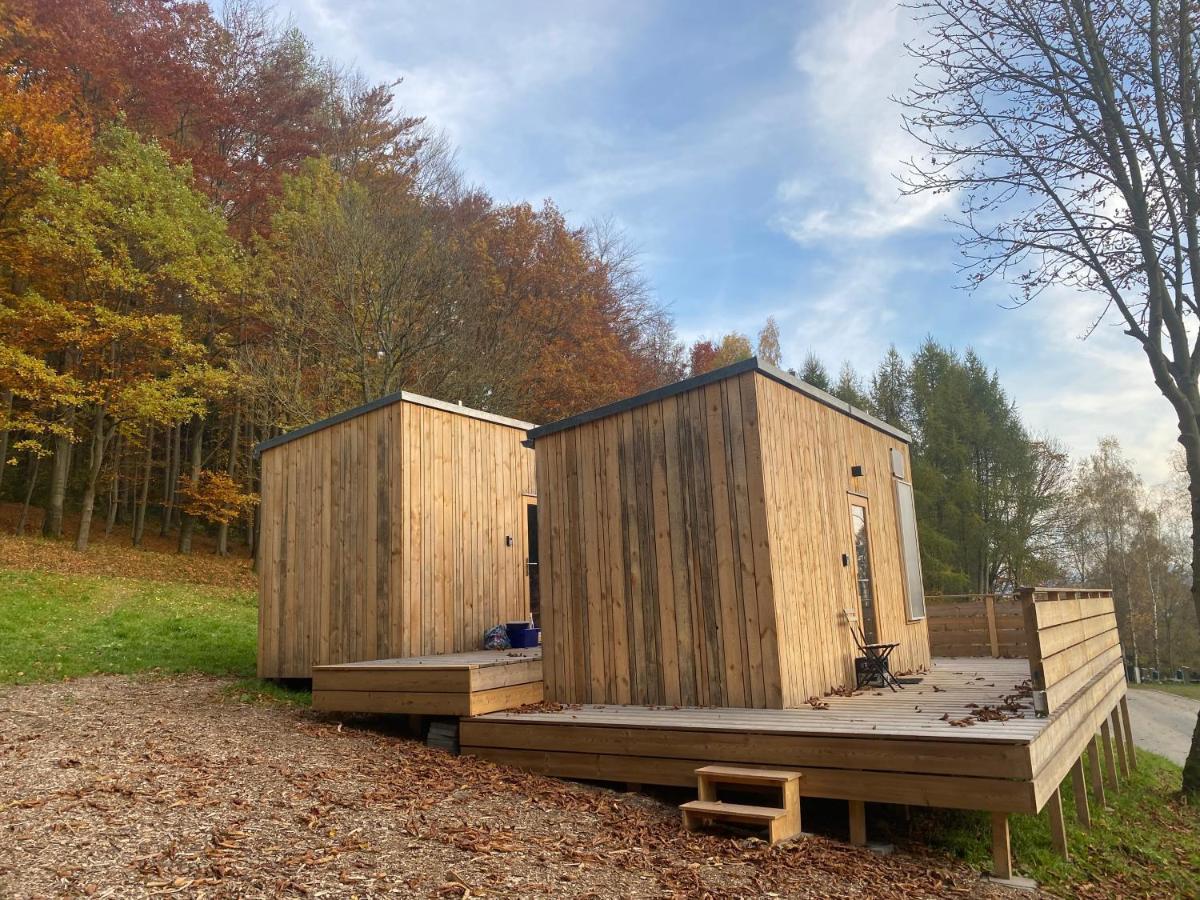 Zinipi Retreat Gelenau "Eber" Villa Wiltzsch ภายนอก รูปภาพ