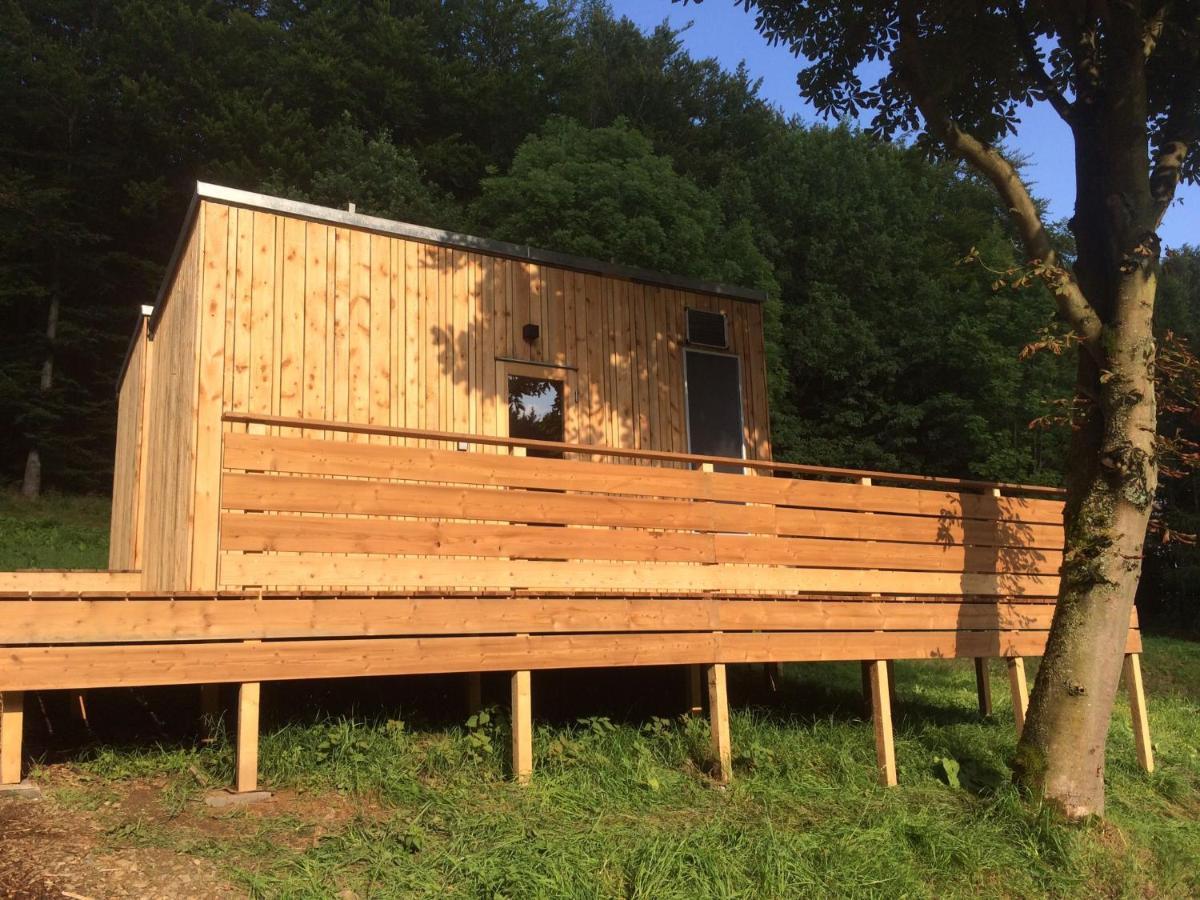 Zinipi Retreat Gelenau "Eber" Villa Wiltzsch ภายนอก รูปภาพ